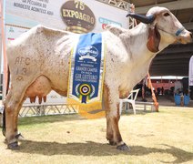 Associação dos Criadores divulga calendário das grandes exposições agropecuárias de 2026