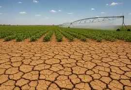 Ondas de calor ameaçam produção global de alimentos, alerta relatório