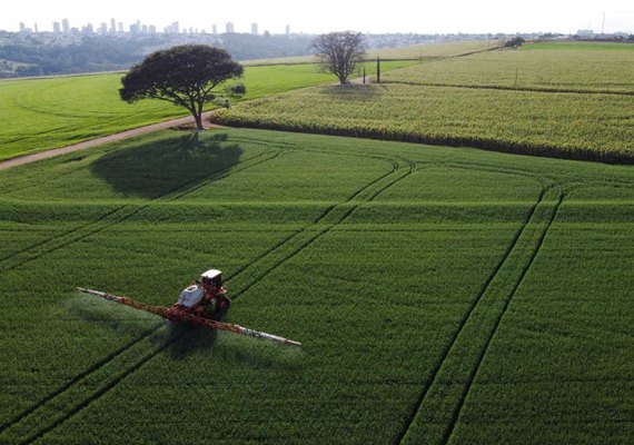 Receita com exportação do agronegócio do Brasil cresce 1,5% em agosto, diz ministério