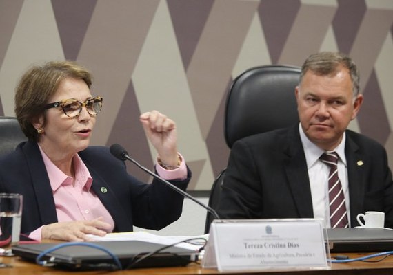 MP garante modernização e segurança para a regularização fundiária