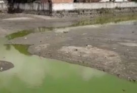 Prefeitura de Pilar retira jacarés de dentro de lago da cidade