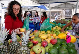 Última feira agroecológica de 2024 acontece nesta quarta (18), no Fórum da Capital