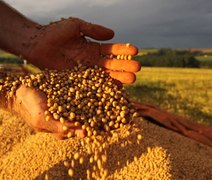 Governo reduz alíquotas de importação de insumos para produção agrícola