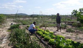 Emater realizou mais de 175 mil atendimentos aos agricultores familiares em 2021