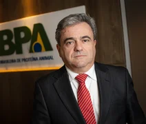 Presidente da ABPA diz que guerra torna inevitável alta de ovos e frango