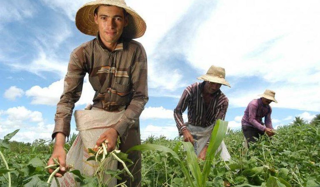 Agricultor familiar não sofrerá impactos referentes ao recolhimento de previdência rural