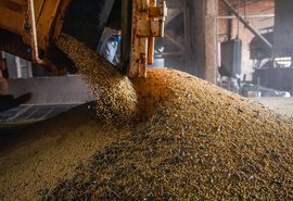 IBGE estima safra recorde de 296,2 milhões de toneladas neste ano