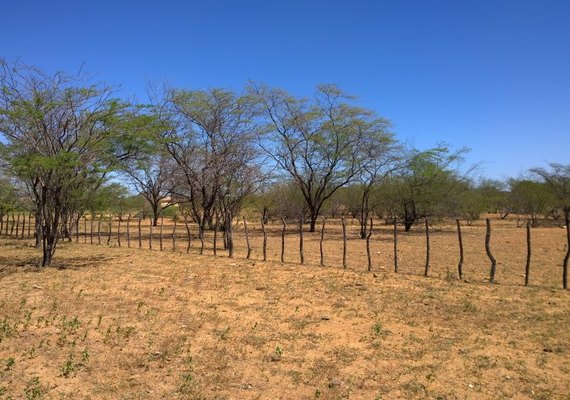 Produtores rurais enfrentam dificuldade com a seca