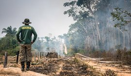 Ambientalistas denunciam desmonte em políticas de proteção ao Meio Ambiente no Brasil