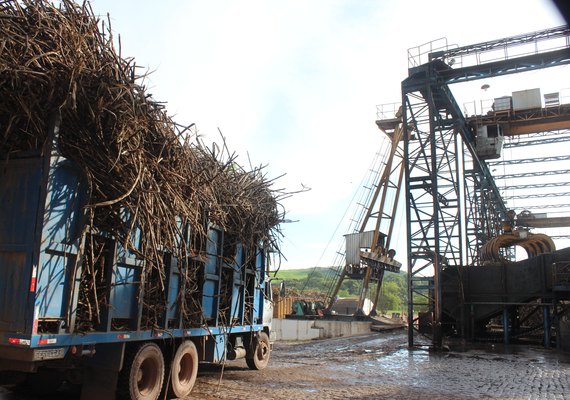 Brasil alcança recorde na produção de etanol na safra 2019/20