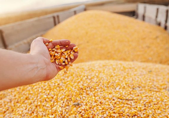 Conab aponta 268,2 MI na produção de grãos na safra 2021/22