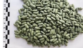 PF cumpre mandados após apreensão de droga enviada pelos Correios em Maceió