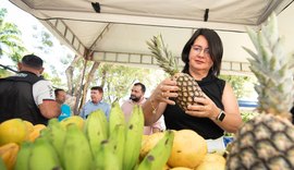 Agricultura Familiar: ﻿Seduc tem recorde de propostas recebidas para fornecimento da m﻿erenda escolar