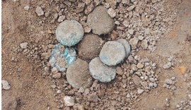 Moedas antigas revelam destruição de Fanagoria no século VI