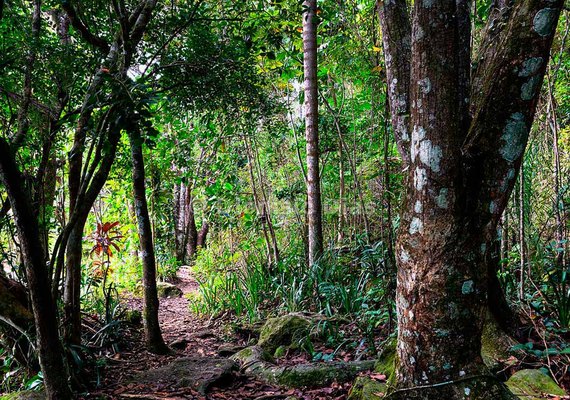 Pindorama e IPMA promovem seminário sobre percepção ambiental
