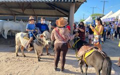 Parque da Pecuária recebe, em média, dois mil visitantes por dia na 71ª Expoagro.