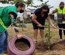 Em Maceió, quase 2.500 árvores já foram plantadas este ano