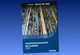 Alagoas amplia cultivo de eucalipto e ganha novo papel na economia verde
