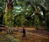 Bloqueio do Estreito de Ormuz pode comprometer produção global de alimentos