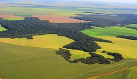 Receita Federal publica nova Instrução Normativa sobre o Valor da Terra Nua por hectare