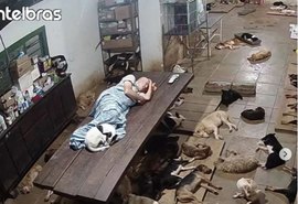 Abrigo de animais de Marechal Deodoro faz vaquinha após imagem do dono dormindo em mesa viralizar; entenda