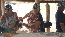 AMAFES: Empoderamento feminino impulsiona agricultura familiar em AL