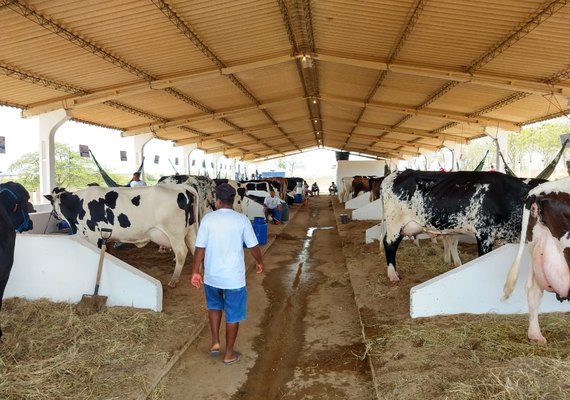 Contagem regressiva para a 40º Expo Bacia