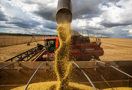 Cooperativismo atua como propulsor de exportações agrícolas