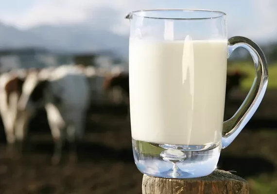 Custo da atividade leiteira está 11,2% maior na comparação anual