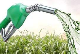 Produção de etanol deve voltar a crescer em 2020