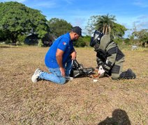 Após atentados, policiais participam de curso de técnicas periciais para explosivos