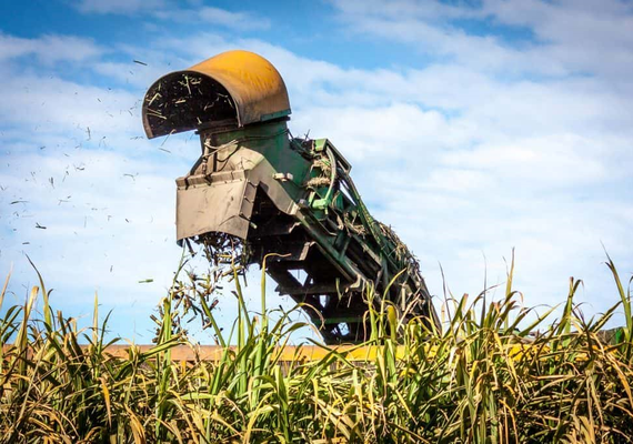 Campo Futuro debate melhoria da gestão na propriedade rural