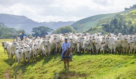 Desemprego: Apenas o setor agropecuário gerou vagas