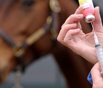 Marechal: campanha de vacinação contra raiva em equinos acontece neste fim de semana