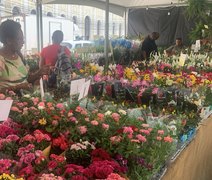 Feira de Flores de Holambra chega a Maceió com catálogo diversificado