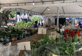 Maceió recebe feira com mais de 200 espécies de flores a partir de R$ 5