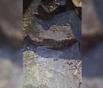 Bomba explode em adolescente que arquitetava ataque a escola