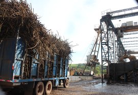 Safra 18/19 é encerrada com 16,4 milhões de toneladas de cana processadas