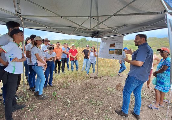 Cooperativa da agricultura familiar resgata cultura do Algodão em parceria com a Embrapa