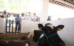 Evento teve 450 animais inscritos.