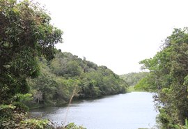 Setor sucroenergético reforça atuação em defesa do meio ambiente