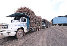 Açúcar Total Recuperável tem crescimento de 5,5% em outubro