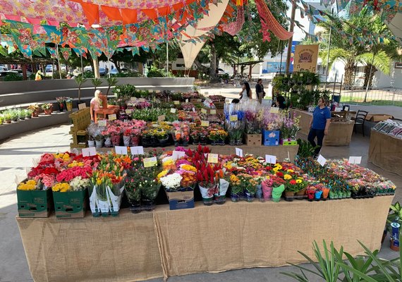 Feira de Flores Holambra chega a Arapiraca com mais de 200 espécies