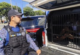 Foragido por tráfico é preso após denúncias de furtos no Jacintinho