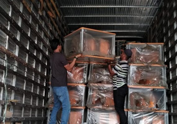 Prefeitura de Branquinha adquire novas carteiras para salas de aula com recursos próprios