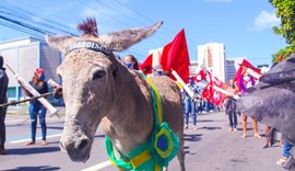 Manifestantes usam jumento como sósia de bolsonaro durante ato  em Maceió