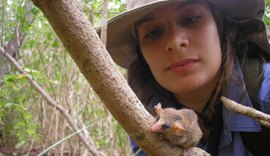 Bióloga da Ufal lidera estudo pioneiro sobre pequenos mamíferos que vivem na Caatinga