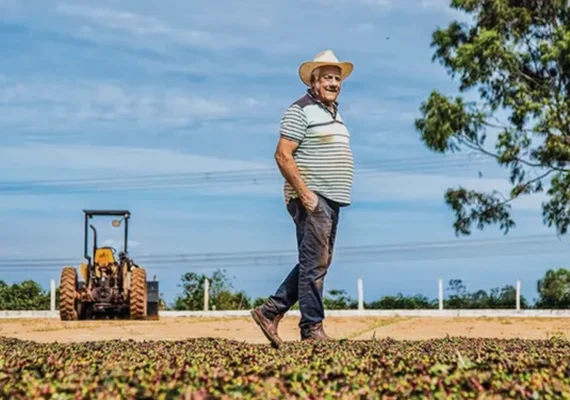Cooperativas se destacam no Plano Safra e crédito rural registra crescimento anual