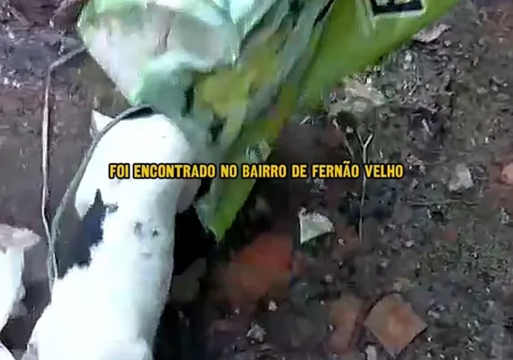Gari ouve latido dentro de saco de lixo e resgata cadelinha vítima de maus-tratos
