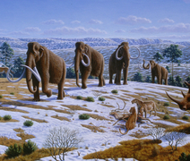 Estudo questiona papel humano na extinção da megafauna nas Américas